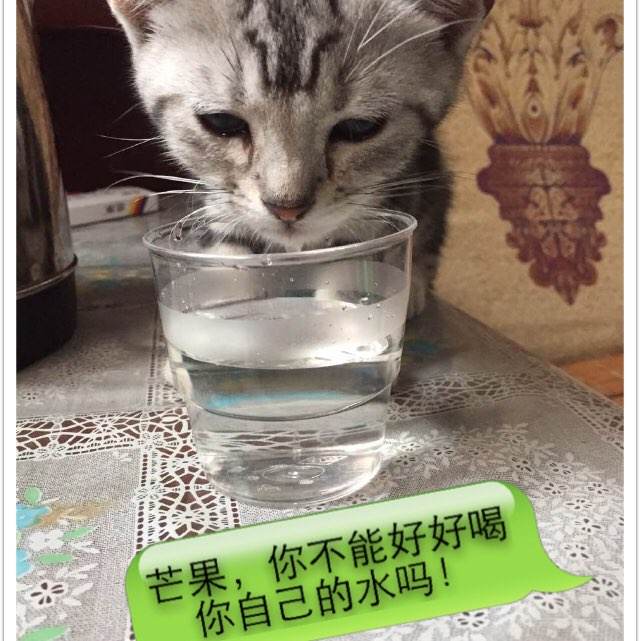 办理假建造师证